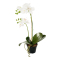 Orkidé Konstgjord Blomma Vit