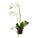 Orkidé Konstgjord Blomma Vit
