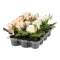 Miniros Krukväxt Konstgjord Blomma