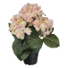 Hortensia Ljusrosa Konstgjord Blomma