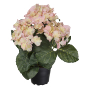 Hortensia Ljusrosa Konstgjord Blomma