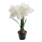 Amaryllis Vit Konstgjord Blomma