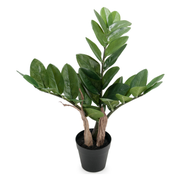 Garderobsblomma/zamifolia Konstgjord Växt