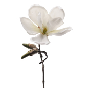 blomkvist-magnolia-vit-1
