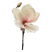 Blomkvist Magnolia Rosavit