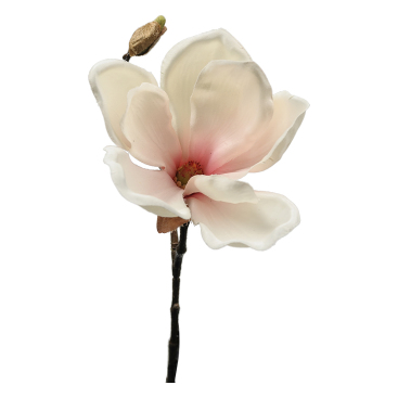 Blomkvist Magnolia Rosavit