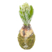 Hyacint Med Snö Konstgjord Blomma