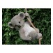 Hängande Koala - Trädgårdsdekoration
