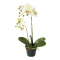 Orkidé Konstgjord Blomma - Vitgul
