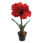 Amaryllis Röd - Konstväxt