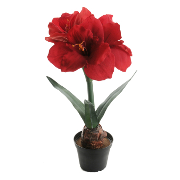 Amaryllis Röd - Konstväxt