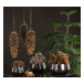 Kotte Strobus Natur 20-25 Cm