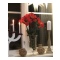 Amaryllis Ljusröd Kvist - Konstväxt