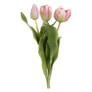 Tulpanbukett Rosa - 3 St Tulpaner