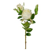 roskvist-vit---konstvaxtsnittblomma-1