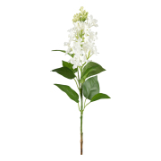 blomkvist-syren-vit-60-cm---konstvaxt--1