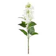 blomkvist-syren-vit-60-cm---konstvaxt-1