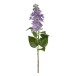 Blomkvist Syrén Lila 60 Cm- Konstväxt