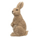 Kanin Brun 34 Cm