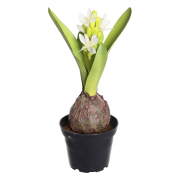 Hyacint Vit Konstgjord Blomma