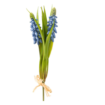 Pärlhyacint Blå - Knippe/bunt 20 Cm