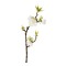 Blomkvist Äpple/Äppelkvist - Konstgjord Blomma