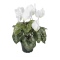 Cyklamen Konstgjord Blomma Vit