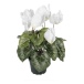 Cyklamen Konstgjord Blomma Vit