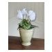 Cyklamen Konstgjord Blomma Vit