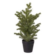 gran-minigran-i-kruka---konstvaxt-1