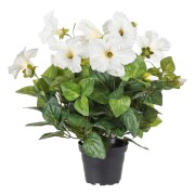 Petunia Vit - Konstgjord Blomma